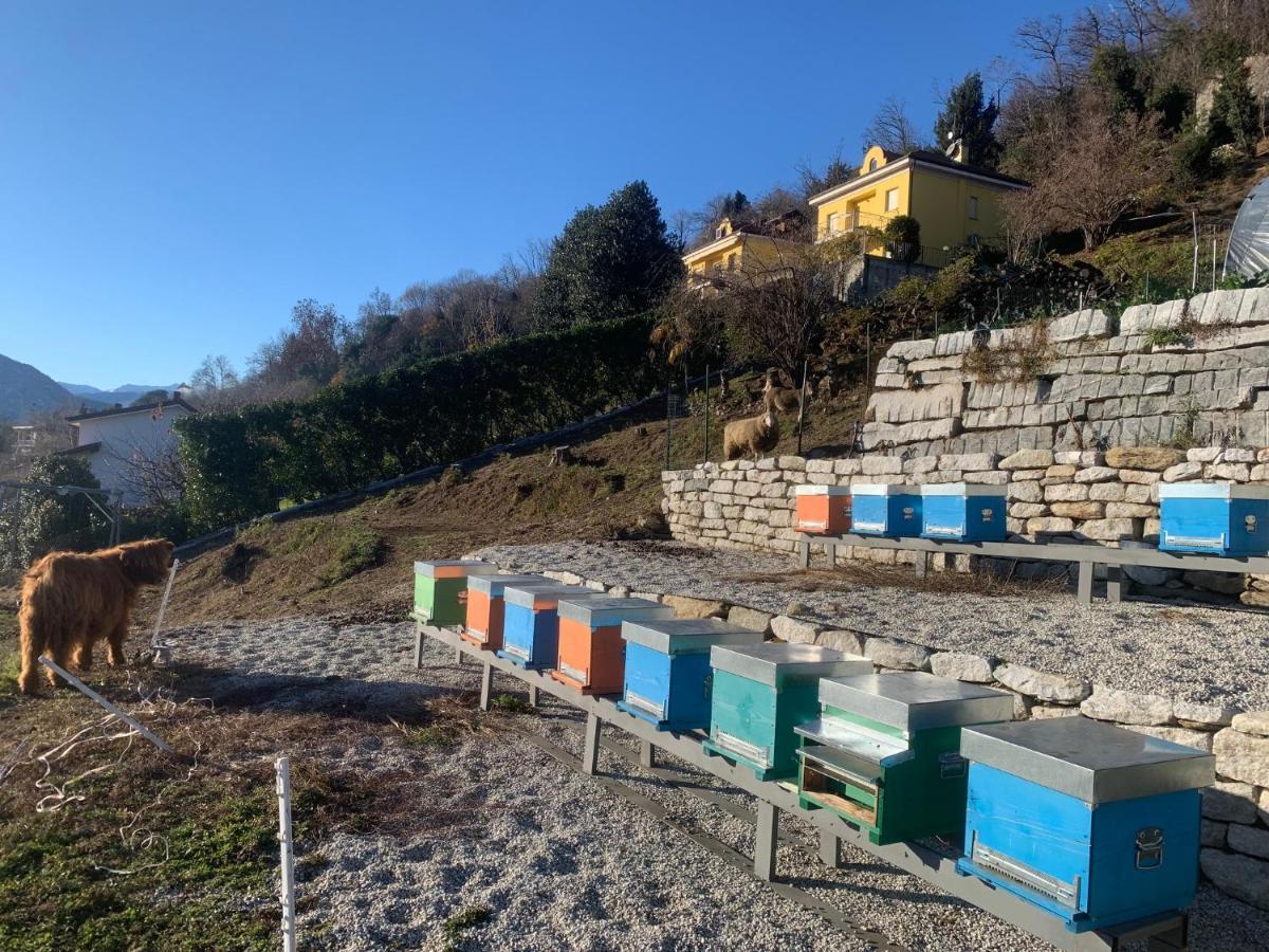 Sole Verbania Exterior foto